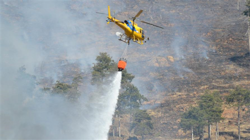 Stato di massima pericolosità per incendi boschivi su tutto il territorio regionale del Piemonte dal giorno 08.07.2026